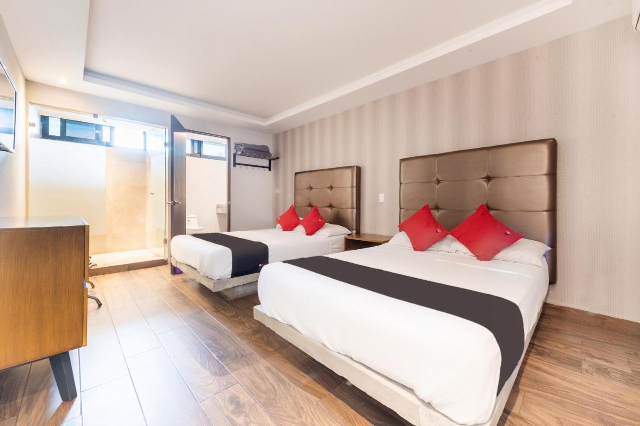 Hotel 202 Monterrey Luaran gambar