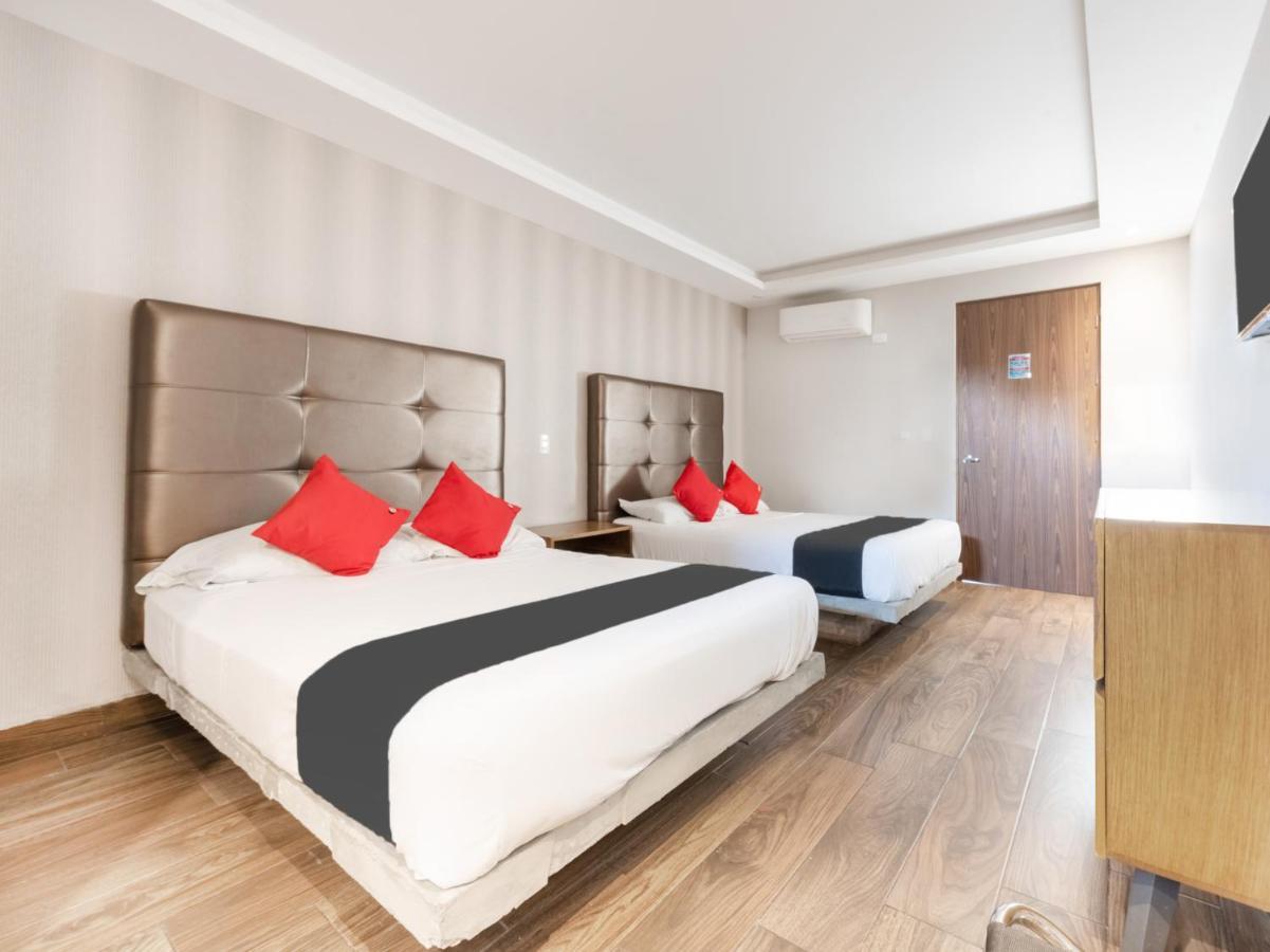 Hotel 202 Monterrey Luaran gambar