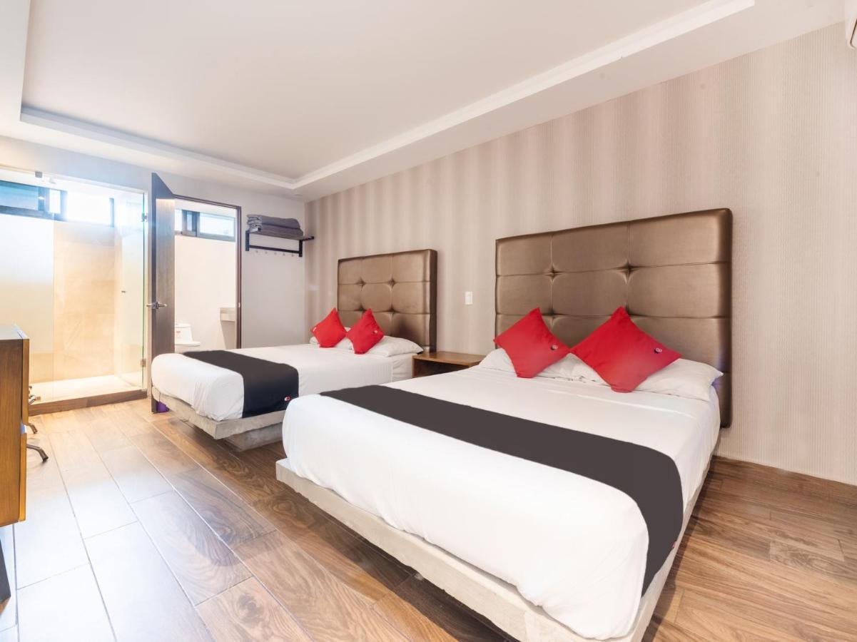 Hotel 202 Monterrey Luaran gambar