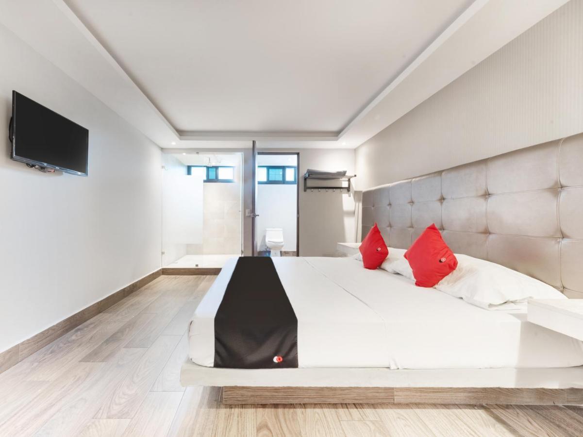 Hotel 202 Monterrey Luaran gambar
