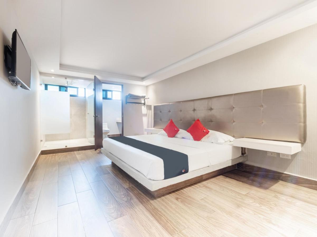 Hotel 202 Monterrey Luaran gambar